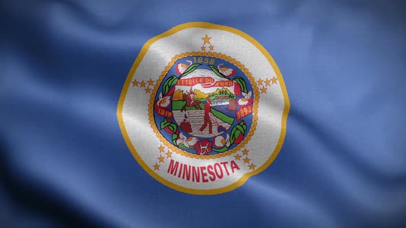 Minnesota State Flag Blowing In Wind