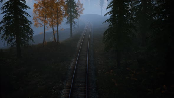 National Forest Recreation Area and the Fog with Railway
