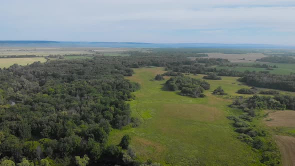 An Aerial View. Beautiful Summer Landscape in the Middle Strip of Russia. Along the Narrow, Winding