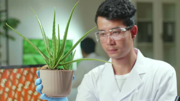 Asian Man Researcher Looking At Aloe Vera. Scientist Observing Genetic Mutation On Plants