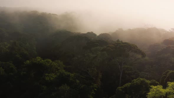 Aerial Drone Shot Above Rainforest Scenery in Costa Rica, Misty Tropical Jungle Landscape High Up Ab