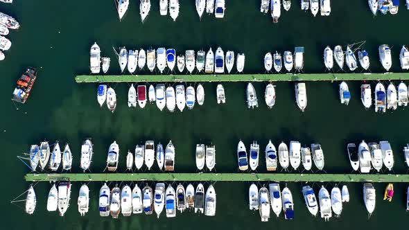 Aerial view of the marina of Can Picafort