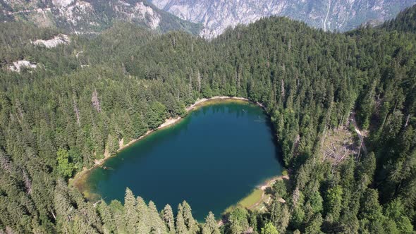 Aerial view of mountain lake surrounded by dense forest. Montenegro, Europe