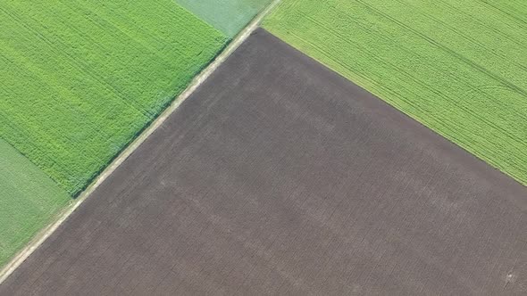 Aerial view of farming paddocks with green crops growing