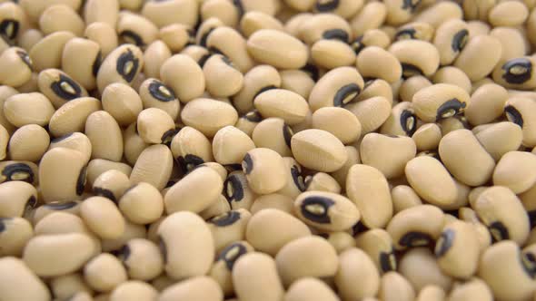 Traditional Castilla beans. Dry spanish legumes close up. Beige grains. Rotation