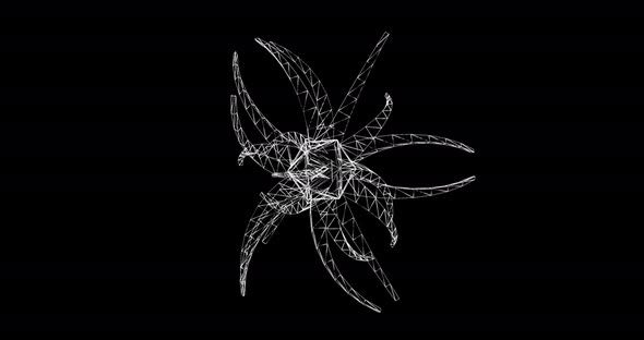 Black white animation of a polygon cell