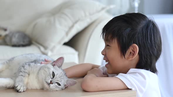 Cute Asian Child Playing With Scottish Kitten Together