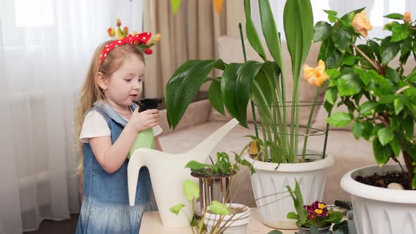 a Little Pretty Girl Sprays the Houseplant with Water