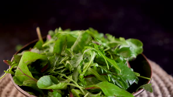 Mix salad greens. Arugula, lettuce, spinach in black bowl Video 4k