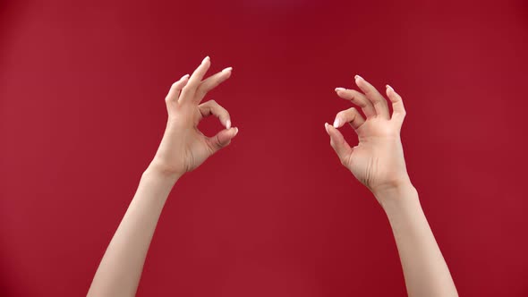 Feminine Hands Showing Gesture Ok on Empty Promotional Advertising Area Closeup Isolated