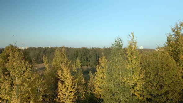 Park area. A winding river. Trees with yellow autumn leaves are visible. Aerial photography.