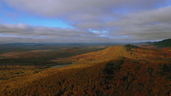 Aerial footage slide to the left high over evergreen ridge in golden autumn forest