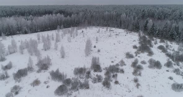 Winter Landscape with Forest, Field. Winter Landscape.