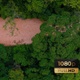 AH - Forest And River - VideoHive Item for Sale