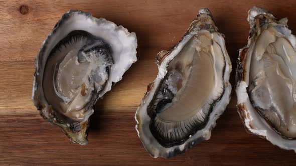 Fresh Oysters 01