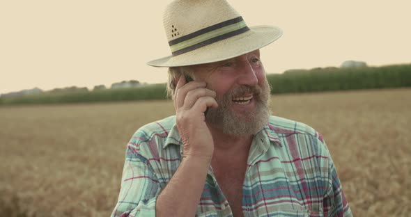 Joyful Senior Farmer Talking on Mobile Phone with Gestures Among Wheat Field