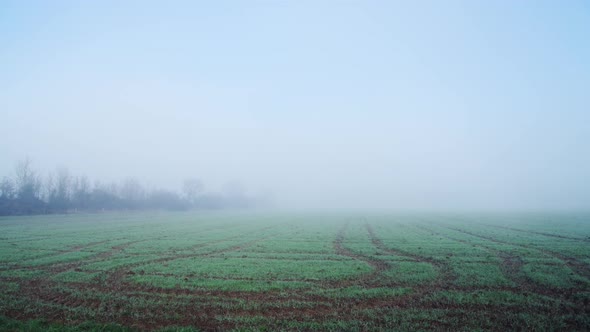 Field and farmland in misty foggy weather, rural countryside scene of a farm in thick fog and mist