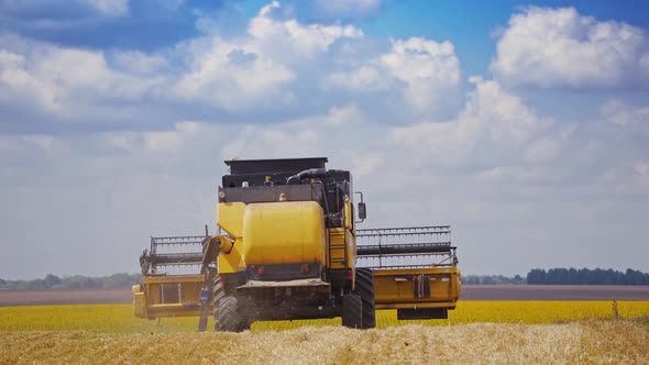 Back view of agricultural machine in work. Contemporary combine harvester farming