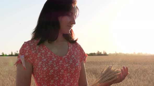 The Girl Enjoys Nature During the Sunset, Holding a Sheaf of Ripe Wheat, Gently Touching the
