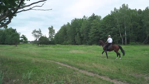 Cowboy in a Hat Rides a Horse in a Clearing Near the Forest Walk on Horseback Man Moves on a Horse