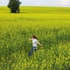 The Girl Runs on a Yellow Flower Field at Sunset  - VideoHive Item for Sale