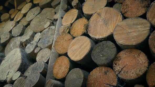 Moving Down Big Stack Of Fire Wood