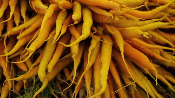 Organic vegetables from the local farm at the Summer Farmers Market.