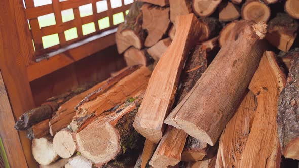 The Hand Takes the Folded Oak Firewood From the Wood for Heating the House in Winter