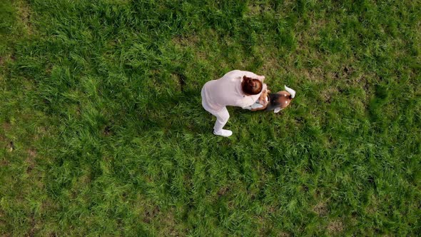 Top View Girl Playing with Dog Beagle at Grass Outdoors in a Green Park and Teases His Puppy with