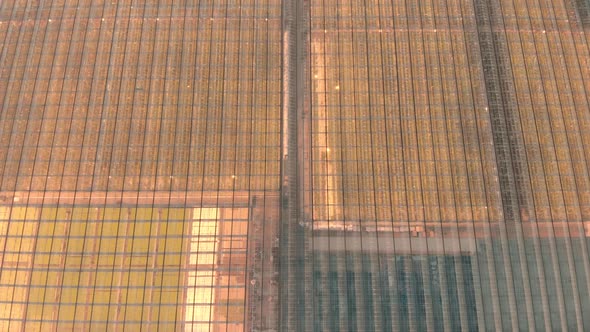 Aerial Photography - Huge Greenhouses with Vegetables and Agricultural Plants