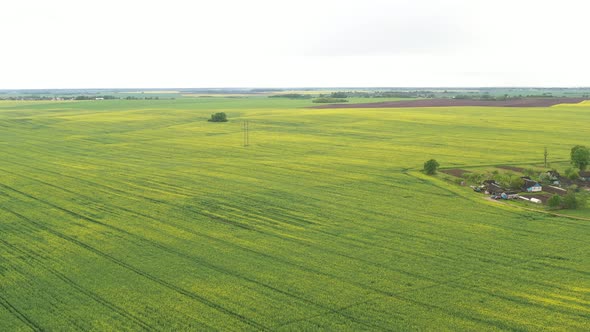 Top View of a Sown Green Field and a Small Village in Belarus