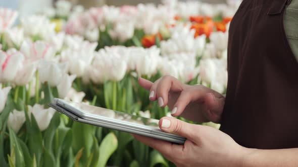 Woman Working with a Digital Tablet in a Greenhouse