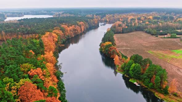 Autumn forest and curvy river. Aerial view of wildlif, Poland,
