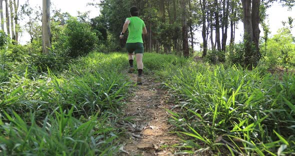 Woman trail runner running in tropical forest mountain