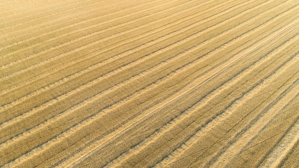 Scenic abstract agricultural fields. Aerial view.