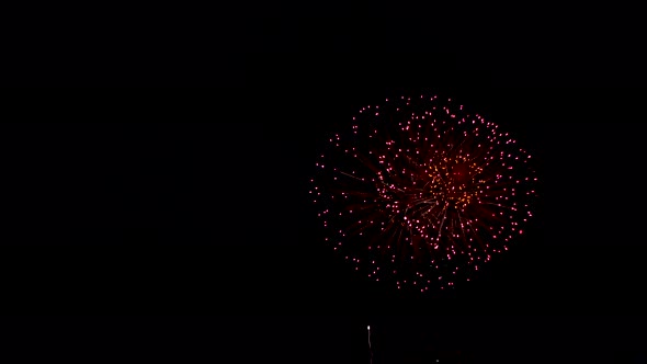 Many flashing colourful fireworks in event amazing with black background celebrate New Year.