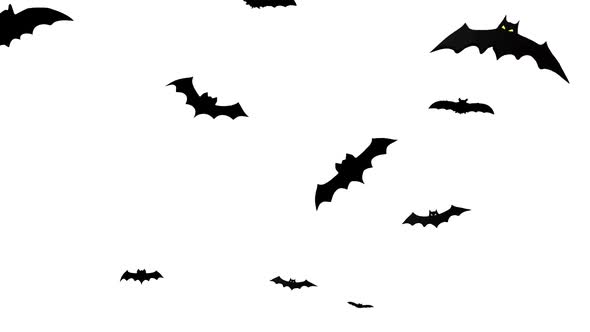 Group Black Bat with Yellow Eyes Flying on Dark Background