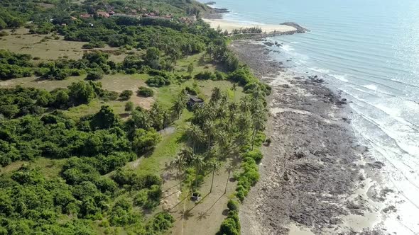 Green Coast and Grey Dirty Beach Washed By Ocean Upper View