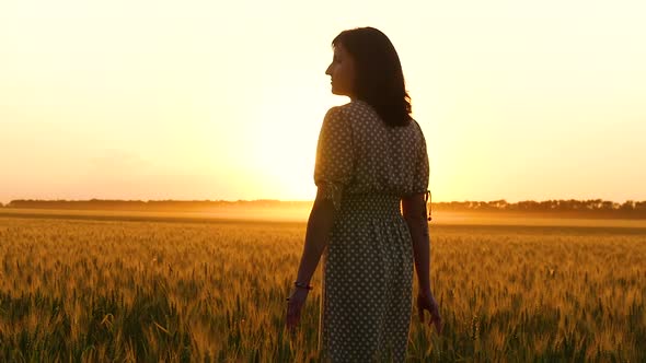 The Girl in the Dress Is on a Golden Wheat Field Against the Sunset