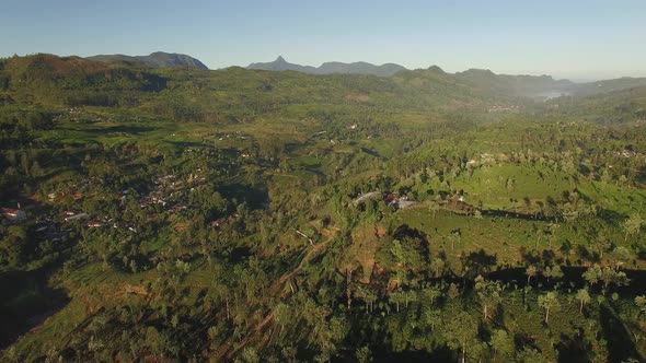 Adams Peak Tea Valley