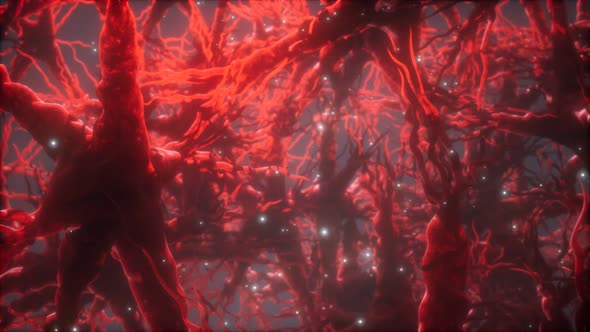 Journey Through a Neuron Cell Network Inside the Brain