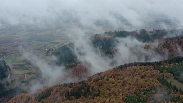 Low-altitude clouds over Romanian forest in autumn. Aerial forward
