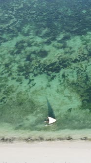 Boat Boats in the Ocean Near the Coast of Zanzibar Tanzania Slow Motion Vertical Video