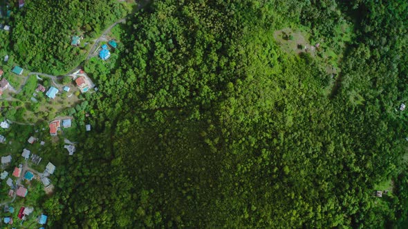 Aerial top-down view of a dense green forest and multi-colored roofs of houses (Saint Lucia)