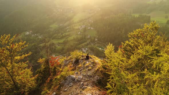 Aerial view of autumn forest