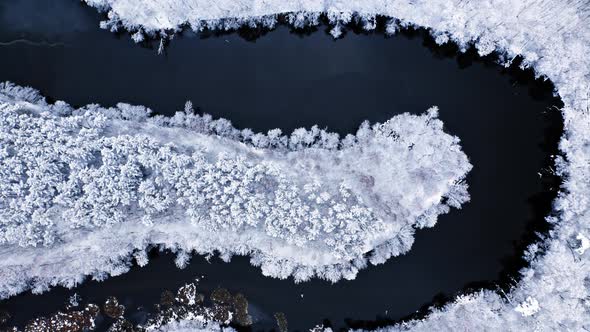 Aerial view of curvy river and frozen forest in winter