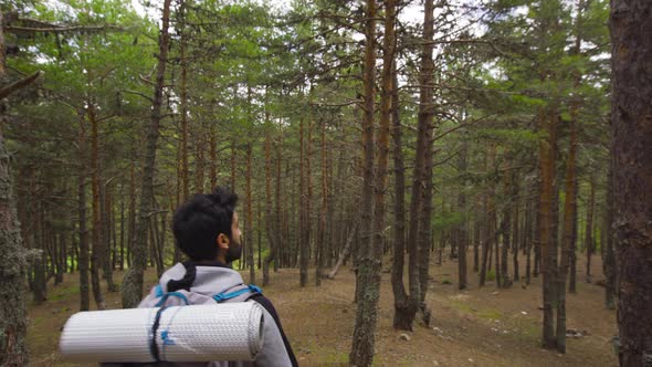 Man walking in the forest.