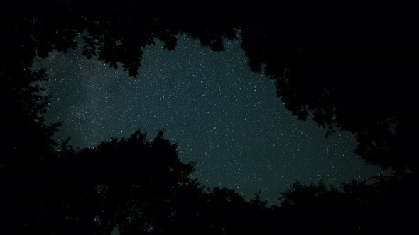 Starry Sky Through Frame Of Tree Branches