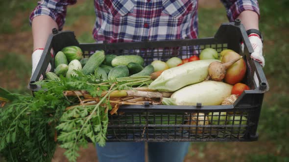 Farmer Holding Box Full of Fresh Organic Vegetables