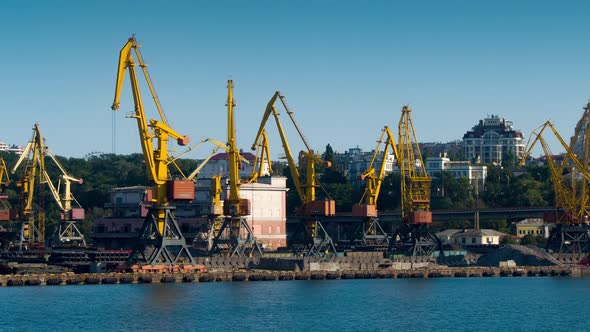 Container Terminal in the Harbor